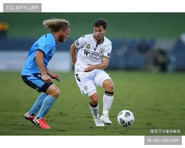 卡马文加表现稳健，助球队战绩攀升并掌控比赛节奏