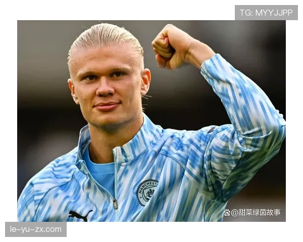 哈兰德vs范尼：现代与古典的禁区嗅觉对比，效率与技术风格差异在哪？